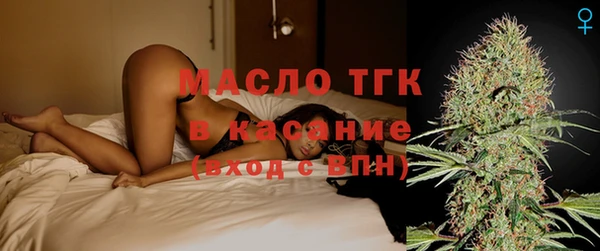 шишки Дмитровск
