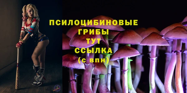 PSILOCYBIN Дмитриев