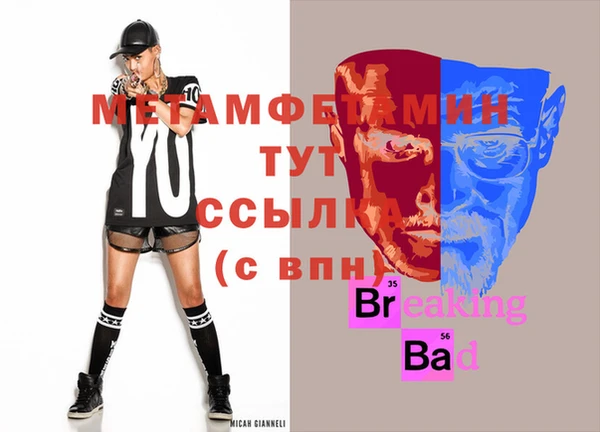 шишки Дмитровск