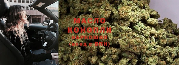 стаф Дмитров