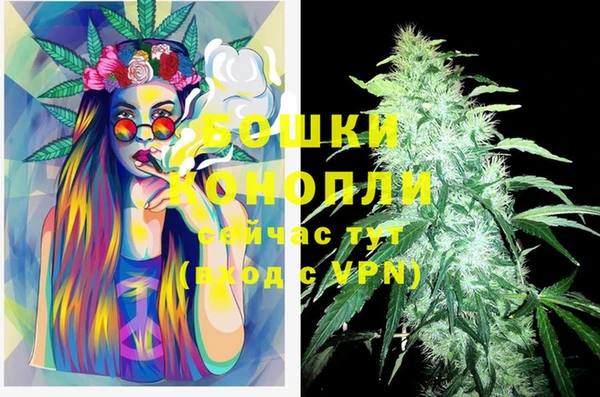 стаф Дмитров
