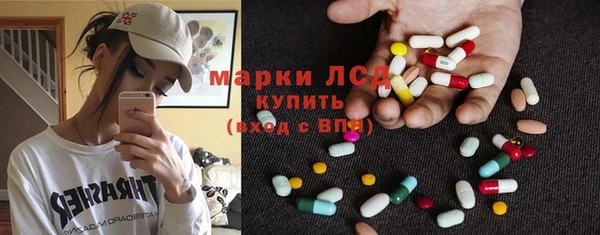 стаф Дмитров