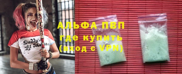 стаф Дмитров