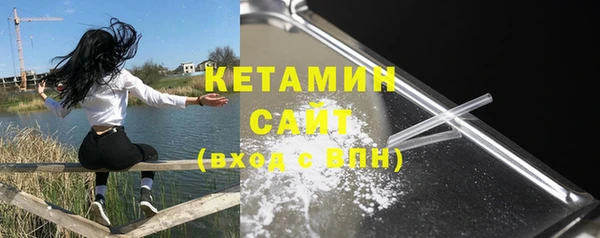 стаф Дмитров