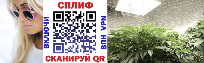 Бошки марихуана VHQ  где продают наркотики  Бузулук 